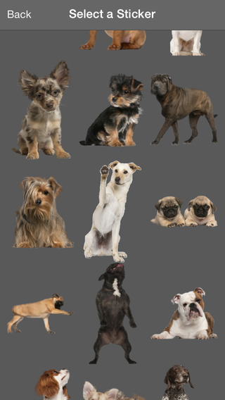 https://static.download-vn.com/dog-effects-draw-paint-dogs-1.jpeg