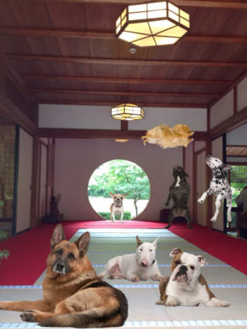 https://static.download-vn.com/dog-effects-draw-paint-dogs-13.jpeg
