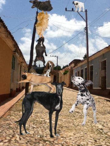 https://static.download-vn.com/dog-effects-draw-paint-dogs-14.jpeg