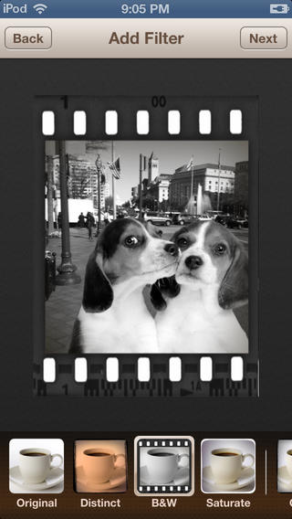 https://static.download-vn.com/dog-me3.jpeg