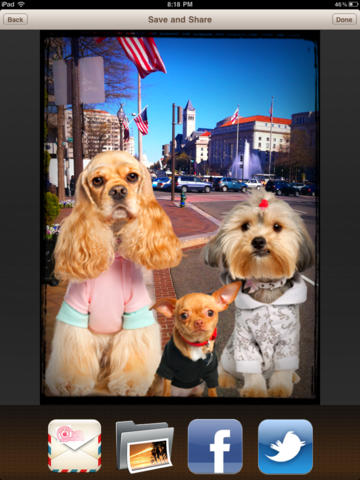https://static.download-vn.com/dog-me7.jpeg