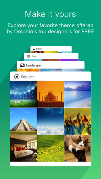 https://static.download-vn.com/dolphin-web-browser-fast-internet-12.jpeg