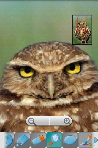 https://static.download-vn.com/evtgroup.apps_.multimedia.draw_and_share1.jpg