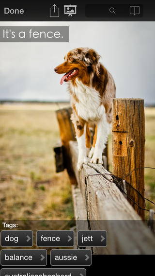 https://static.download-vn.com/explore-flickr1.jpeg