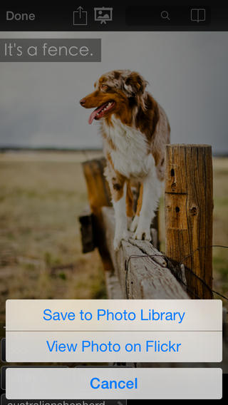 https://static.download-vn.com/explore-flickr2.jpeg