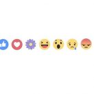 Facebook có thêm biểu tượng cảm xúc ‘Bông hoa’