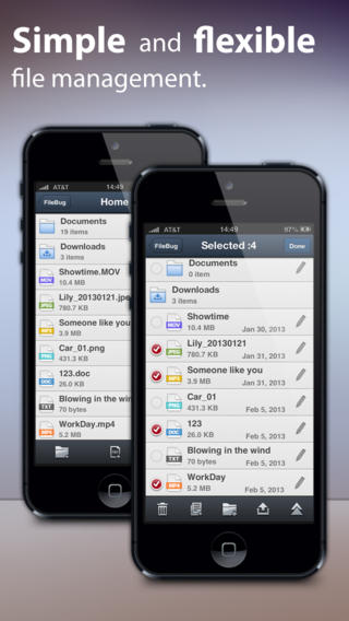https://static.download-vn.com/filebug-file-manager-document-1.jpeg