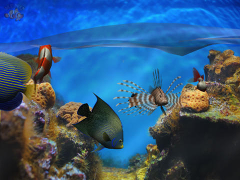 https://static.download-vn.com/fish-fingers-3d-interactive4.jpeg