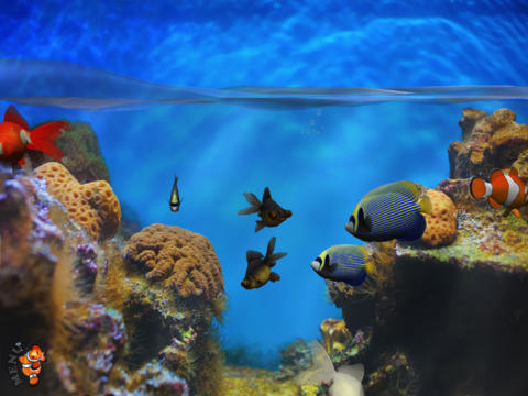 https://static.download-vn.com/fish-fingers-3d-interactive6.jpeg