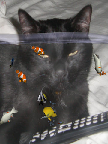 https://static.download-vn.com/fish-fingers-3d-interactive7.jpeg