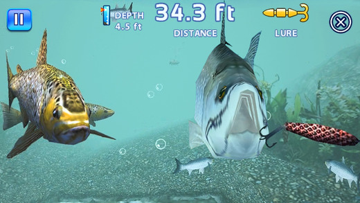 https://static.download-vn.com/fishing-kings-free-12.jpeg