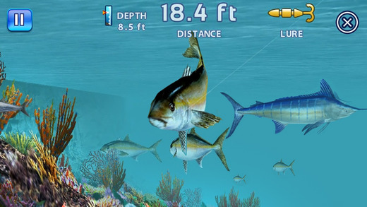 https://static.download-vn.com/fishing-kings-free-13.jpeg