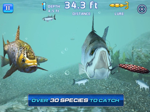 https://static.download-vn.com/fishing-kings-free-17.jpeg
