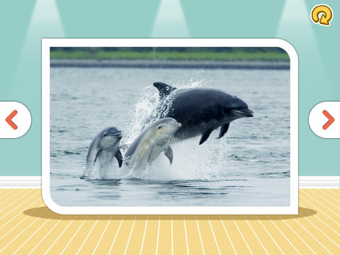 https://static.download-vn.com/flash-card-be-nhan-biet-gioi1.jpeg