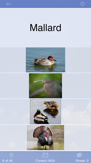 https://static.download-vn.com/flashcards-deluxe-lite-11.jpeg