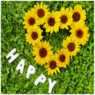 FlowerPic