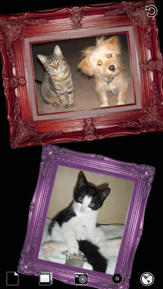 https://static.download-vn.com/flowframe-pro-wow-your-pics1.jpeg