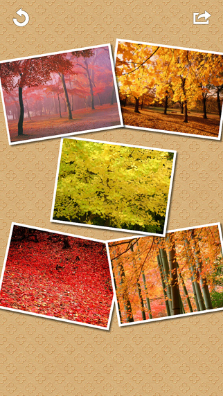 https://static.download-vn.com/frame-collage4.jpeg