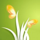 Free Relaxing Sounds Of Nature and SPA Music to Reduce Stress & Anxiety, Power Nap,Yoga & Meditation, Massage Therapy, Insomnia Relief & Better Sleep