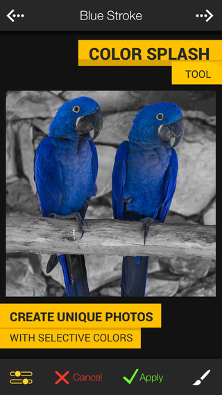 https://static.download-vn.com/fx-photo-studio-pro-picture-12.jpeg