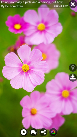 https://static.download-vn.com/iexplorer-for-picasa-11.jpeg