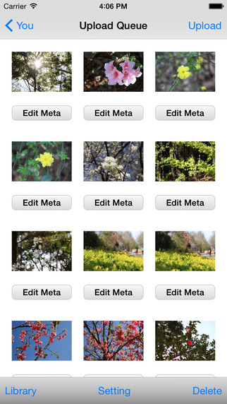 https://static.download-vn.com/iexplorer-for-picasa-14.jpeg