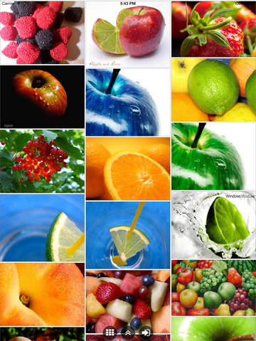 https://static.download-vn.com/iexplorer-for-picasa-15.jpeg