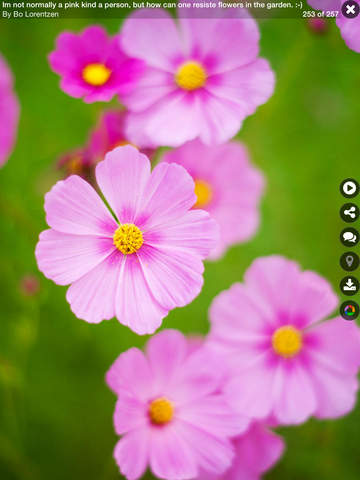 https://static.download-vn.com/iexplorer-for-picasa-16.jpeg