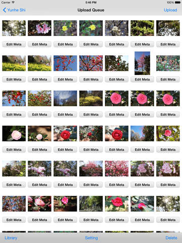 https://static.download-vn.com/iexplorer-for-picasa-19.jpeg