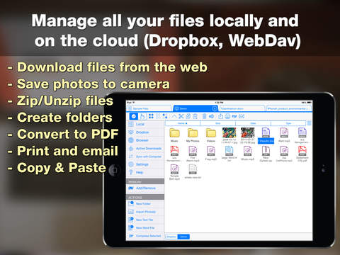 https://static.download-vn.com/ifile-browser-download-manager-13.jpeg