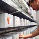 iPhone 6s bán chậm, Apple sẽ tung sớm iPhone 7