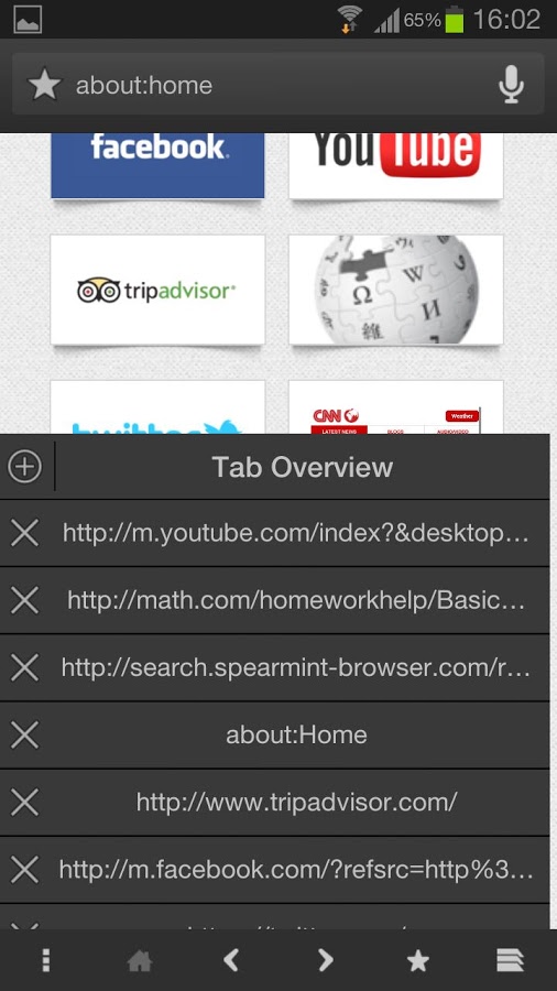 https://static.download-vn.com/iron.web_.jalepano.browser1.jpg