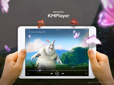 https://static.download-vn.com/kmplayer4.jpeg