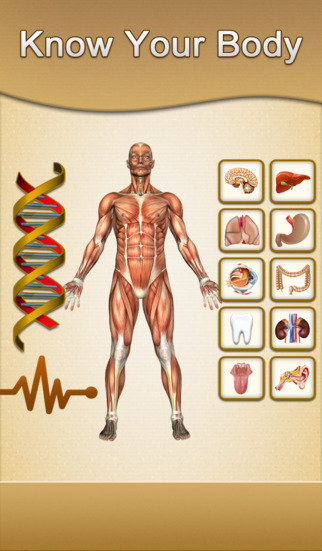 https://static.download-vn.com/know-your-body-free4.jpeg