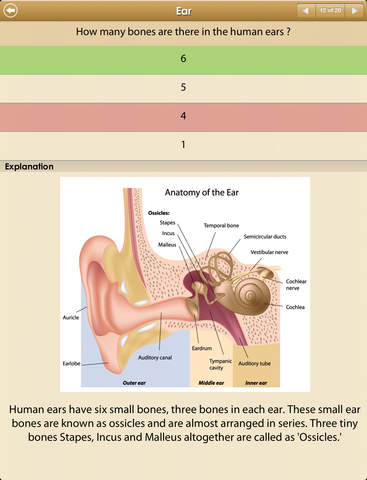 https://static.download-vn.com/know-your-body-free7.jpeg