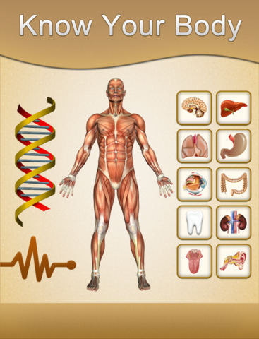 https://static.download-vn.com/know-your-body-free9.jpeg