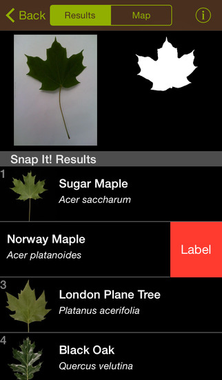 https://static.download-vn.com/leafsnap-12.jpeg