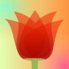 LiveDOF – Blur Tiltshift Animation Creator