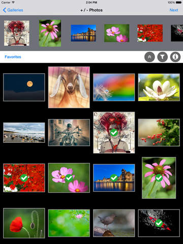 https://static.download-vn.com/manager-for-flickr6.jpeg