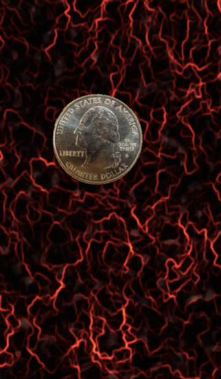 https://static.download-vn.com/martys-magic-coin-free-1.jpeg