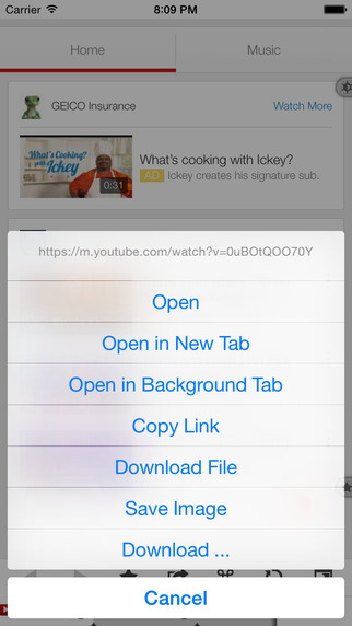 https://static.download-vn.com/maven-web-browser-plus-most-13.jpeg