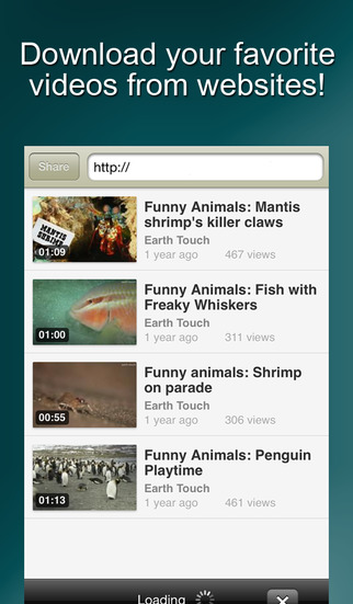 https://static.download-vn.com/mediaclip-download-videos-1.jpeg