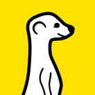Meerkat – Live Stream Video