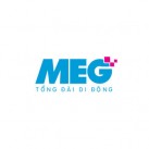 MEG