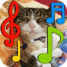 Mèo Con Nhại Tiếng Hát Hài VL – Unofficial Talking Tom Cat Vietnamese Edition