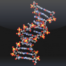 Download Molecules