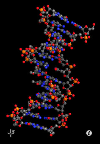 https://static.download-vn.com/molecules.jpeg