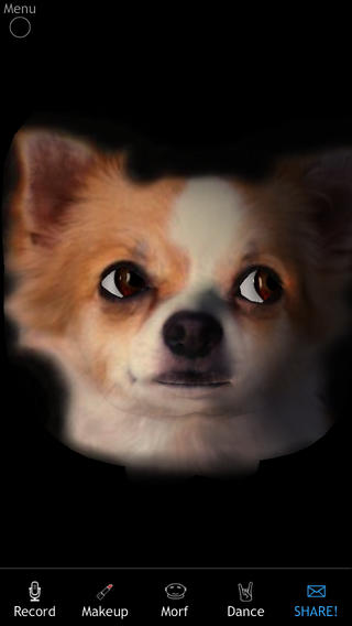 https://static.download-vn.com/morfo-12.jpeg