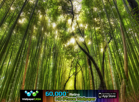 https://static.download-vn.com/naturepix-hd-ipad-version4.jpeg