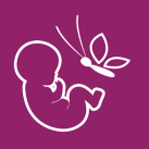 Download I’m Expecting – Pregnancy App